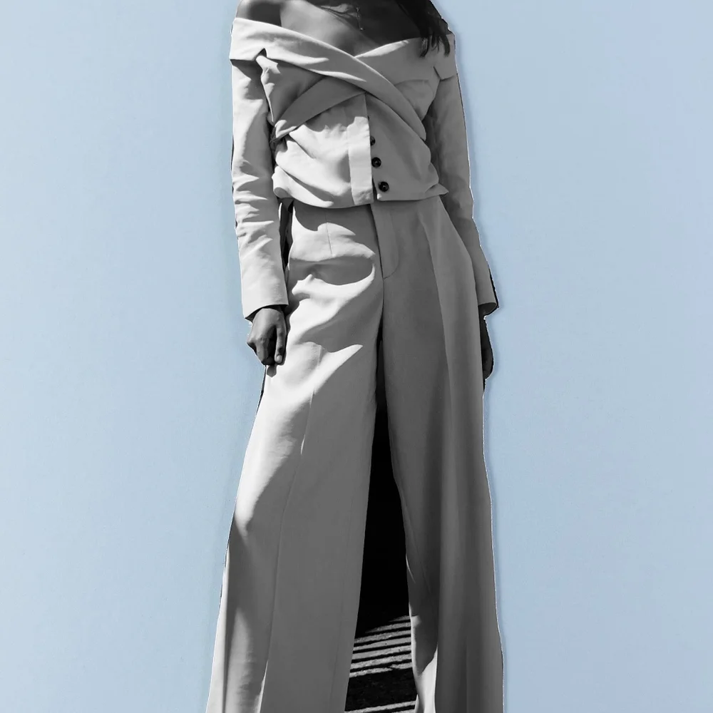 ~ZARA Wide Leg Pants limited edition~